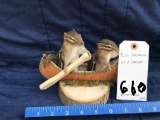 DOUBLE CHIPMUNK IN A CANOE TAXIDERMY