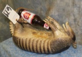 DRUNK ARMADILLO TAXIDERMY