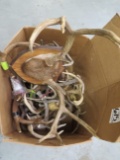 20 SET OF WHITETAIL ANTLERS (20X$) TAXIDERMY