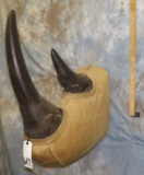 REPRODUCTION RHINO HORNS DISPLAY