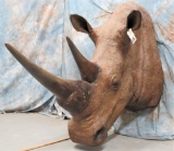 REPRODUCTION RHINO SH MT TAXIDERMY