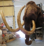 ONE OF A KIND!!! REPRODUCTION MAMMOTH SH MT