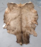 NICE ELK HIDE