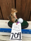 CUTE GOLFING CHIPMUNK TAXIDERMY