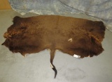 1/2 BUFFALO HIDE TAXIDERMY