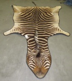 BEAUTIFUL NEW ZEBRA RUG TAXIDERMY