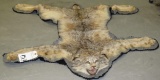 ALASKAN LYNX RUG TAXIDERMY