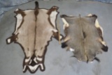 KUDU, GEMSBOK & NILGAI HIDES (3x$) TAXIDERMY