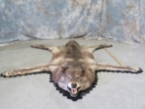 FELTED BLACK TIMBERWOLF RUG TAXIDERMY