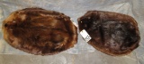 2 BEAVER HIDES (2X$) TAXIDERMY