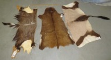 FULL BUSHBUCK, 1/4 GEMSBOK, &1/4 NYALA HIDES (3X$)