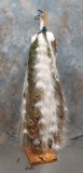 LIFESIZE PIED PEACOCK ON BASE  TAXIDERMY