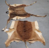 IMPALA BLESBOK HIDES (2X$)