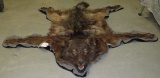 AMAZING BLACK WOLF RUG TAXIDERMY