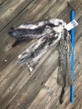 2 POSSUM HIDES & 1 GROUNDHOG HIDE (3X$) TAXIDERMY