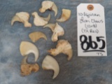 10 AFRICAN LION CLAWS (10X$) (TX RES) TAXIDERMY