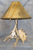 ANTLER TABLE LAMP W/RAWHIDE SHADE  TAXIDERMY