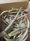 BOX OF 30LBS OF ANTLERS  TAXIDERMY
