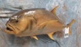 REAL SKIN CRAVELLE JACK FISH MT TAXIDERMY