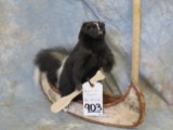 SKUNK IN A CANOE 