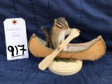 SINGLE CHIPMUNK IN A CANOE TAXIDERMY