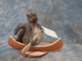 LIFESIZE SQUIRREL IN CANOE  TAXIDERMY