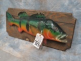 LIFESIZE REAL SKIN PEACOCK BASS  TAXIDERMY