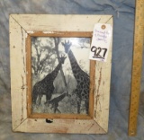 FRAMED PIC OF GIRAFFE FAMILY