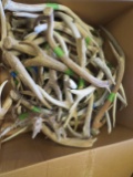 BOX OF 30LBS OF ANTLERS  TAXIDERMY