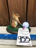 CUTE GOLFING CHIPMUNK TAXIDERMY