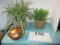 Basket w/ 2 artificial plants