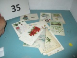 lot of 16 New Years vintage postcards