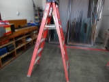Werner 6FT Fiberglass Ladder