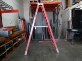 Werner 8FT Fiberglass Ladder