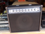 Regal AMP and Rickenbocker