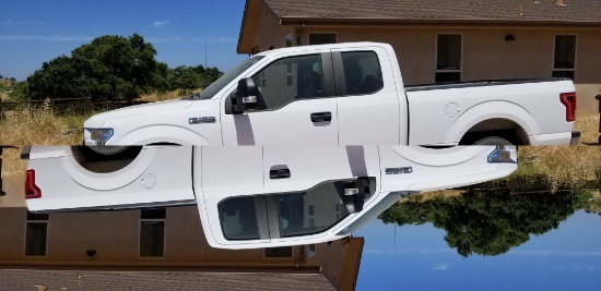 Tripiano Estate Auction