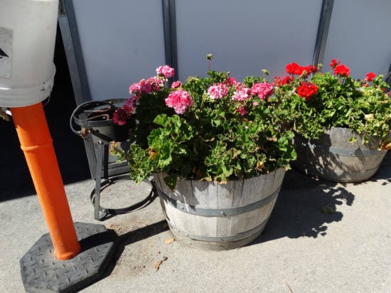 17 x 24 Half Barrel Wood Flower Pots