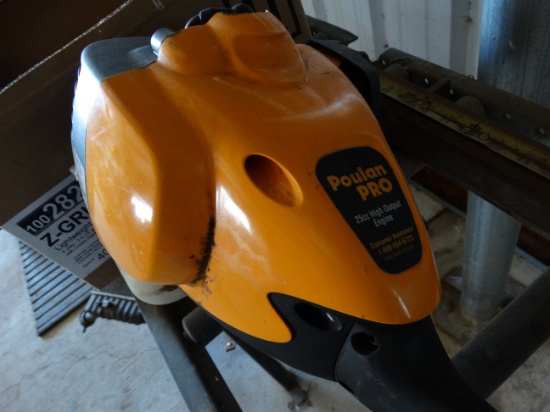 Poulan PRO Pole Saw