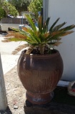 Extra Large Planter