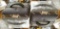 (2) Ruggard Camera Bags
