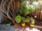 All Outdoor Plants grouped