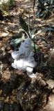 Outdoor Decorations
