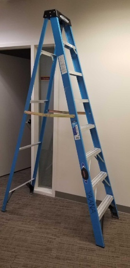 8 FT Werner Ladder
