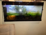 FISH TANK