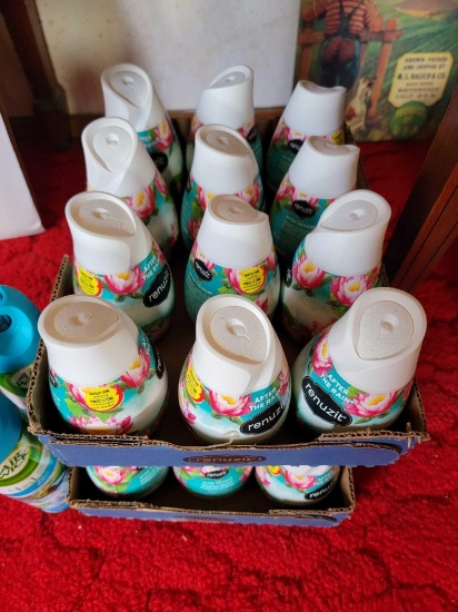 2 CASES OF RENUZIT AND SPRAY