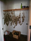 CONTENTS OF CLOSET AND RECREATIONAL 420
