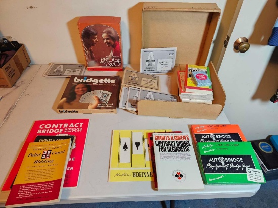 THE BRIDGE GAME LOT