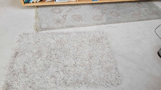 TWO LIVING ROOM AREA RUGS