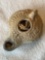 12 EGYPTIAN OIL LAMPS