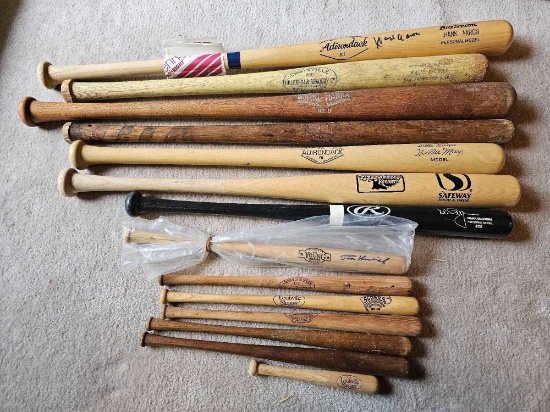 BASEBALL BATS & MINI- BATS